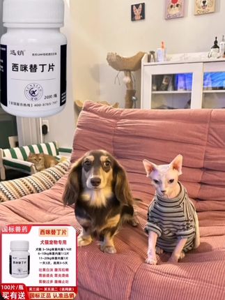 #萌宠推荐官 #家有宠物很幸福 #毛孩子的日常 #家庭伴侣犬 #养宠物必备