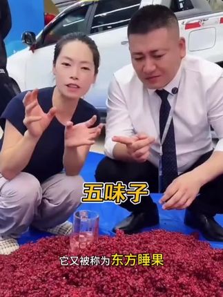 #我要上热门 长白山五味子,大颗粒当年新果,无硫、无磺原色原味,手工挑选,自然晾晒。#罗凤魁#老把头和老解