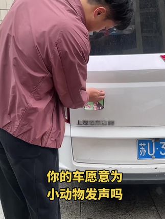 尊重生命,地球也是属于他们的#拒绝遗弃 #爱护小动物 #猫狗 #宠物