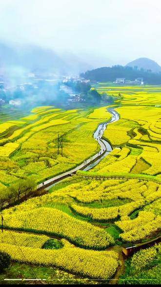 你好三月 你好团泽!#遵义彩绘#文旅打卡 #画画的蒋胖胖 #壁画师 #油菜花