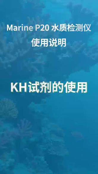P20 使用:KH 检测教程