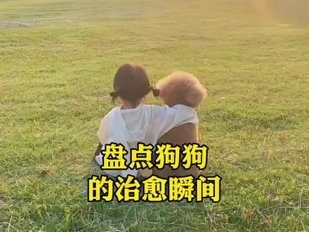 那些感人的小动物瞬间#感人瞬间#情感系列