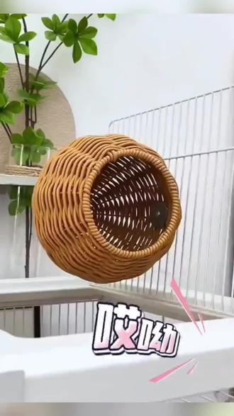 仿藤编鸟窝鹦鹉窝藤条耐咬夏季四季通用牡丹玄凤虎皮鸟窝#鹦鹉#鹦鹉窝#夏季#好物推荐🔥