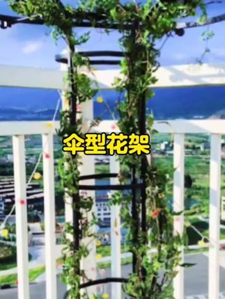 #花架 #伞形花架 #爬藤花架 #打开美好生活 #爱生活爱养花