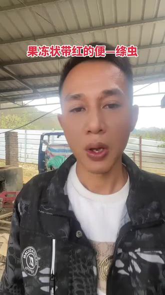 狗猪牛羊通用#绦虫 #养狗经验分享