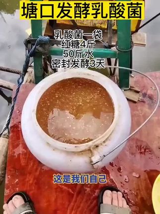 #水产养殖#帮邦乳酸菌