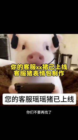 #你的客服xx猪已上线 #客服猪表情包制作 #客服猪表情包 客服猪表情包原图 客服猪表情包制作教程 #醒图 #醒图创作者 你的客服猪已上线 你的客服猪已下线 你的客服猪已上线表情包 你的客服猪已下线表情包