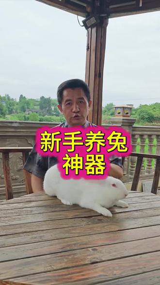 新手养兔神器#养兔 #肉兔养殖 #兔子 #养兔人 #兔病