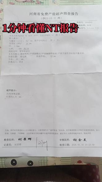 #孕妈妈正能量 #创作者中心 #创作灵感 1分钟看懂NT报告