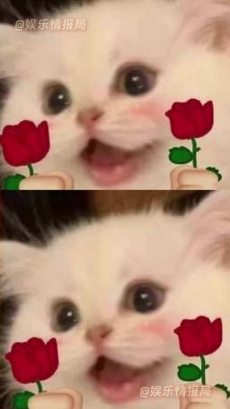 法国总统与第一夫人的爱情,短剧还是保守了
女大三报金砖,大三十抱江山
放在短剧里面都觉得离谱的程度其实是现实
#马克龙 #法国 #爱情 #姐弟恋#法国第一夫人