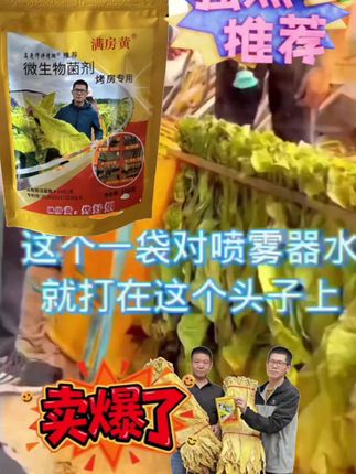 【高老师讲烤烟专属】满房黄 微生物菌剂 烤房专用 少霉烂青筋挂灰