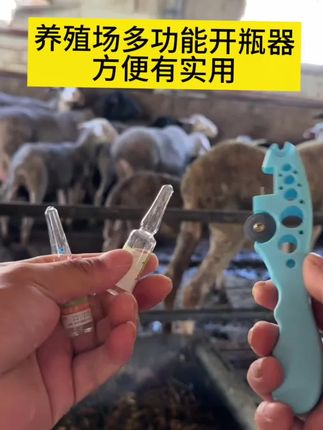 以后再也不用费劲巴拉的拿锤子砸瓶子了,咱们只需要有这样一个小小的开瓶器就可以了,它不仅可以给咱们的玻璃药瓶开口,还可以给大瓶的消毒剂开口,非常的方便实用。养殖用开瓶器,简单好用不伤手#养殖场专用 #养牛人 #自繁自养 #农村创业养殖 #服务三农