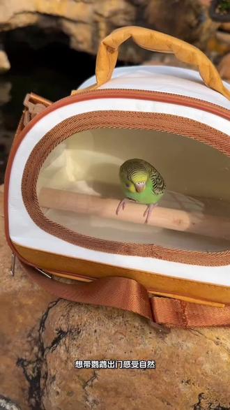 想带鹦鹉出门感受自然?这款鹦鹉外出包必须安排! 它能斜挎也能手提,背带可调节,出门解放双手超方便;包内配实木站杆,鹦鹉站着超稳,弧形透明视窗透气又开阔,小鹦鹉在里面能尽情看公园美景。 包身耐磨又轻便,逛多久都不累,鹦鹉的户外专属小窝,选它准没错!