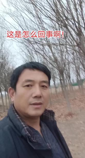 强烈建议!不然都要塌房!