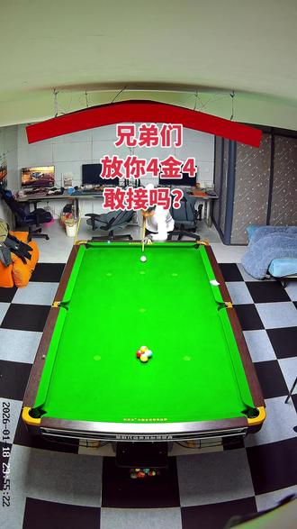 放你4金4,接吗#追分#大金#小金#台球杆法