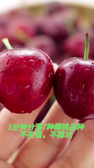 1分钟分清7个樱桃品种