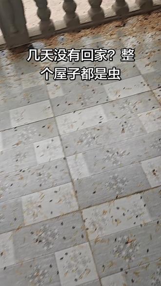 喜欢钓鱼的朋友们?这里可以帮你们接道?戈兰滩钓鱼,基地。