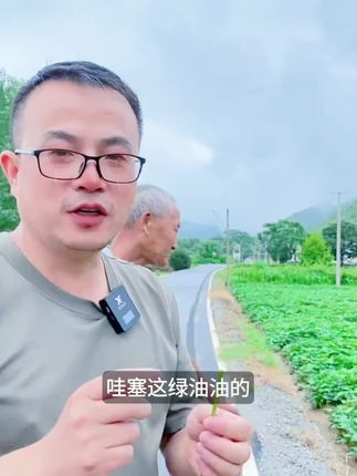 安徽农家自种新鲜红薯梗地瓜梗红苕梗茎番薯藤杆子老品种2斤包邮#好物推荐#新款必备#精选推荐