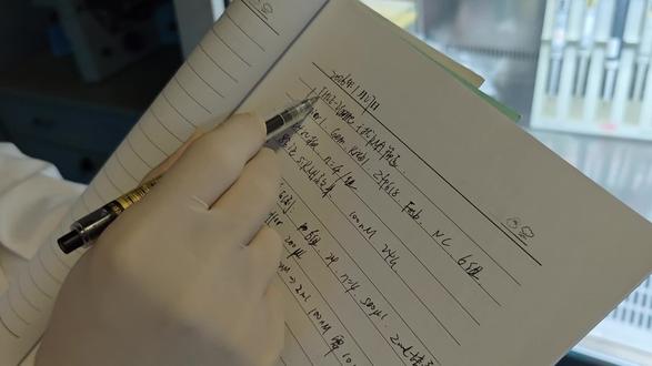 #实验方法 siRNA细胞转染