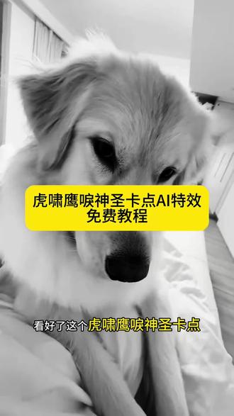 虎啸鹰唳神圣卡点转场特效视频制作教程!#老虎老鹰卡点 老虎老鹰卡点视频制作 神圣卡点老虎 #一种很神圣的卡点 #一种很神圣的卡点教程 #神圣的卡点模板 #剪映 一种很神圣的卡点也是被你用上了 # 老虎吼叫声 老鹰特效 # 狗狗超燃剪辑 狗狗压迫感超燃剪辑