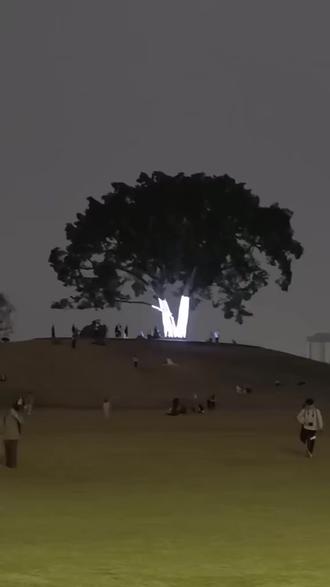 南宁青秀山2026新春灯会攻略来了#灯会#南宁青秀山灯会#青秀山新春灯会#青秀山风景区# #春节游玩好去处