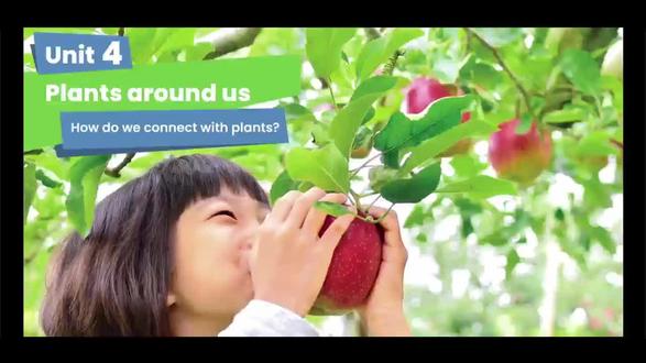 新人教版英语三年级上册Unit4第38-39页 单元导读视频
How do we connect with plants?
Let's talk about plants!
They are our green friends.
Plants start with a seed.
Seeds need air and water.
Just like us.
Plants also love the sun.
It helps them grow tall.
We can help them grow too.
Plants give us many gifts.
Yummy fruits.
Like oranges,apples,bananas and grapes.
Beautiful flowers and leaves in spring.
They give us fresh air too.
Thank you plants for everything you give us!
How do you connect with plants?
How can you help plants?
#三年级英语上册 #小学英语 #新人教版英语 #人教版小学英语 #英语