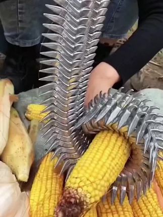 快速剥皮剥玉米神器,带有三个小齿,直接扒苞米非常方便,一叨就开,两下扒一穗,方便又实用#扒苞米小神器 #扒苞米小帮手 #扒苞米 #剥玉米神器 #剥玉米