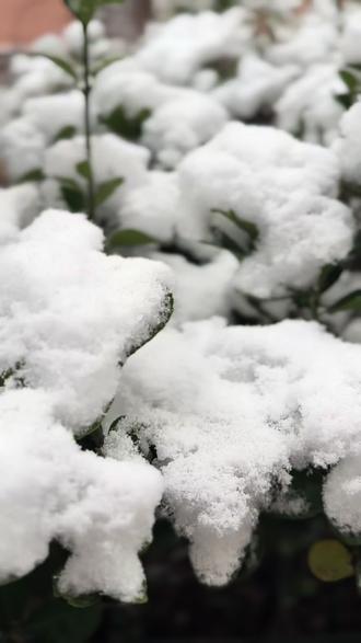 🧣𝑯𝒆𝒚 𝒘𝒊𝒏𝒕𝒆𝒓 ‘’ ◨⸝⸝⸝⸝⸝♪
“初雪已至 敬颂冬绥 万事胜意
𝑆𝑛𝑜𝑤𝑦 𝑑𝑎𝑦🤍 ₊⁺
“冬有冬的来意,雪有雪的秘密🧣”2025.12.12青岛的第一场雪如期而至😇#带你看雪景