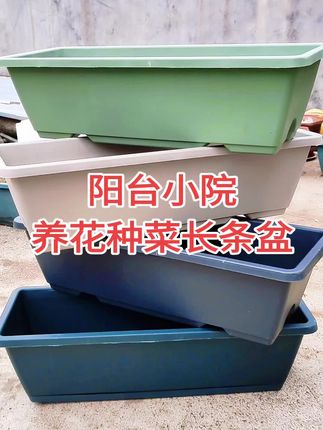 我的花盆都用来种菜了#长条盆#上热搜 #在家种菜#超便宜超划算 #阳台种植