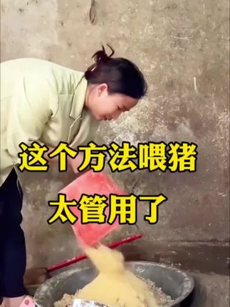 #养猪人不容易 #养猪技术 #养猪致富 #育肥猪 #养猪人