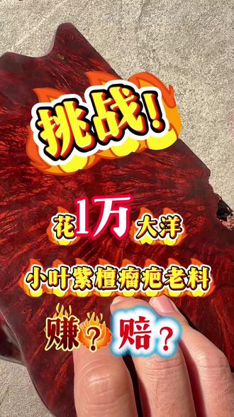 开一串印度小叶紫檀瘤疤手串需要多少大洋?#印度小叶紫檀 #小叶紫檀手串 #佛珠加工