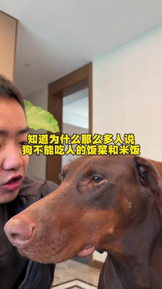 狗不能吃人的食物 #萌宠好物
