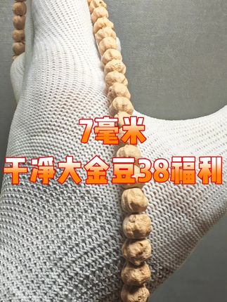 干净大金豆38包邮#百香籽 #柏香籽 #热振柏香