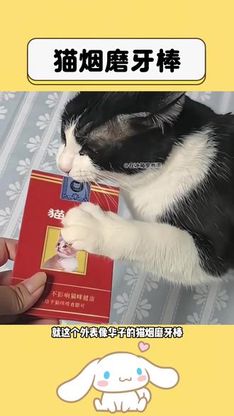 村里小猫也是整上城里货了!!#宠物猫 #小猫 #猫烟