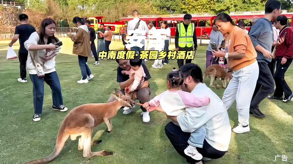 399两天一晚入住中南度假茶园乡村酒店,还包含早餐,中南百草原门票,牧场小火车票,免费停车,淘气堡乐园,萌宠互动等多项权益!#亲子游玩好去处 #元宵就要团团圆圆 #中南度假茶园乡村酒店 #江浙沪周边游 #旅行推荐官(部分日期需加价)