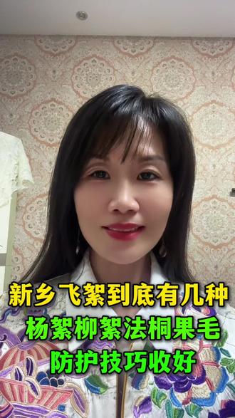 新乡飞絮到底有几种?是杨絮、柳絮还是法桐果毛?防护技巧收好#新乡#新乡同城#新乡人#新乡张诗婉