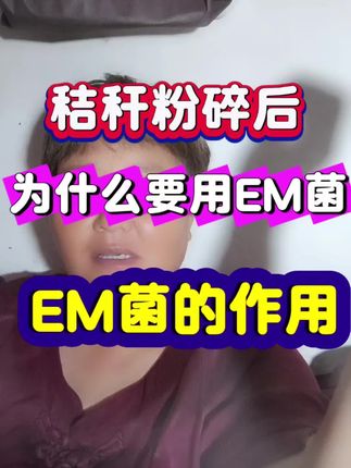 秸秆粉碎后,为什么要用EM菌#大蒜种植技术 #em菌堆肥 #亚丽农资只做精品 #大数据推荐给有需要的人