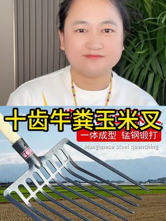 #牛粪叉子 #五金