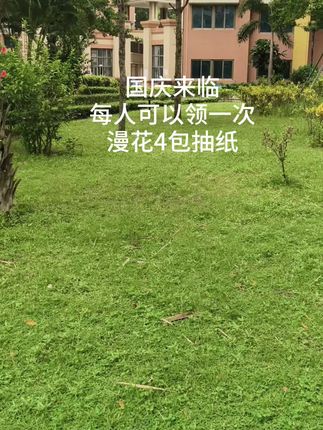 #每日分享 #生活用纸 #强烈推荐 #上热搜 #自用好物推荐