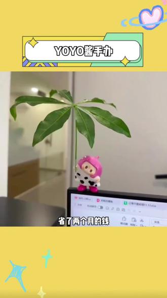 线下抢不到,线上的既然刷到就别错过了#yoyo酱 #右右酱 #手办