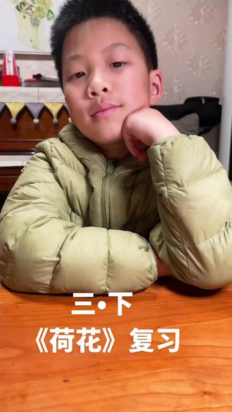 三•下语文复习《荷花》#语文 #三年级 #小学