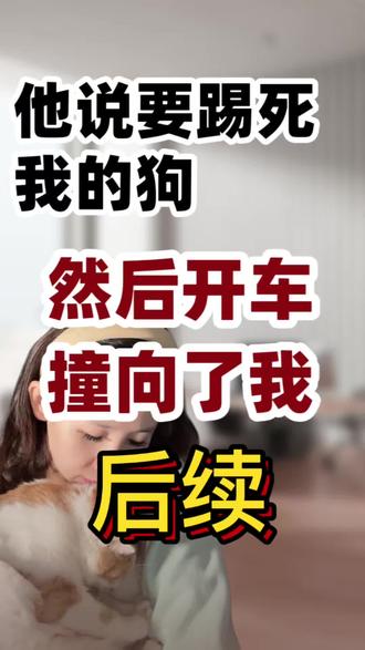 关于我一个月前遛狗被人开车撞的后续