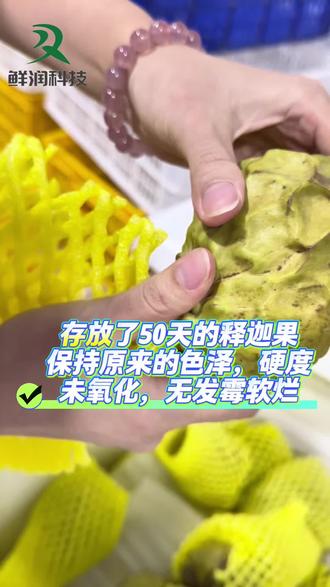 农产品保鲜新技术 #释迦果 #果蔬保鲜#农产品保鲜#保鲜剂#原创视频