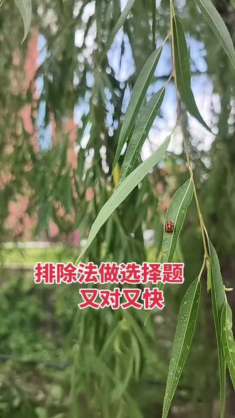 排除法特别有用 #中考答题技巧 #黔西南州中考#提分秘籍
