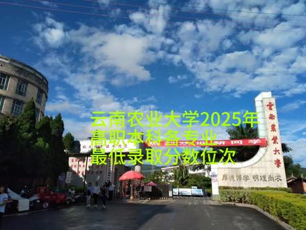 云南农业大学的高职本科全部专业都在普洱校区,2025年招录,物理类需要超过本科线40分以上,历史类需要超过本科线35分以上才能录取。
#云南农业大学
#高职本科
#陈德能高考志愿规划
#高考升学规划陈德能