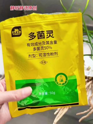 史丹利多菌灵杀菌剂#养花小知识 #爱生活爱养花 #家庭养花 #多菌灵 #杀菌消毒