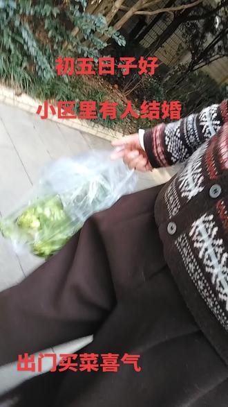 初五出门好彩头#出门遇喜事 #随手一拍都是美景