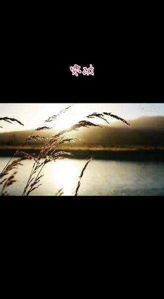 #突破
#AI歌曲
歌名:突破
风格建议: 流行摇滚 / 硬核说唱
情绪: 隐忍 -> 坚定 -> 爆发 -> 狂放 -> 沉淀
【前奏 Intro】
(低沉的贝斯独奏,伴随着心跳般的鼓点,气氛压抑而厚重)
【第一段 Verse 1】
每天你平凡着,像一首弹给天地的曲儿
在此刻只给自己听,不求谁来附和
无形无相的坚持,穿行在天地你我
沉默是金色的外壳,包裹着内心的火
【第二段 Verse 2】
每天你自觉着,用汗水心血供养生活
只为了这个家,让温暖在角落闪烁
无怨无悔的付出,求一个家和万事皆成
在那平凡的日夜里,你比谁都执着
【导歌 Pre-Chorus】
(鼓点加密,吉他扫弦切入,情绪递进)
当委屈袭来,历史不会倒流
人在做天在看,谁能以此为由?
受得住胯下之辱,才懂卧薪尝胆的愁
三千越甲可吞吴,这誓言在血液里流!
【副歌 Chorus】
(全乐器爆发,高亢有力)
突破!就在这一念之间
天差地别,也要把命运改变
突破!那是石破天惊的剑
笑看风云,哪怕敌人望风而逃的脸
苦心人,把天下事问道
只要功到自成,便是个艳阳天
【第三段 Verse 3】
每天你坚持着,面对长城天堑的阻隔
何须要全部拆除,只攻一点便能破
就在那关键一刻,点亮了微弱的光泽
巧夺天工的手笔,看谁还敢小看我
【桥段 Bridge】
(节奏骤变,重金属风格,充满杀气与豪情)
对内、对朋友——
我有好酒好肉,情义天长地久!
对待那来犯者——
虽远必诛的怒火,在胸口怒吼!
杀他个株连九族,杀他个片甲不留!
绝不手软,当仁不让,这才是男人的手!
【间奏 Solo】
(激昂的电吉他独奏,宣泄情绪)
【副歌 Chorus】
(人声合唱,气势恢宏)
突破!就在这一念之间
天差地别,也要把命运改变
突破!那是石破天惊的剑
笑看风云,哪怕敌人望风而逃的脸
日积月累,去换那量变到质变
锲而不舍,才懂得自我调节的那个圆
【尾声 Outro】
(音乐骤停,只留下一把木吉他或钢琴,缓慢、独白式地)
突破,是勇于创新……
突破,是功到自成……
所谓突破,
是以自己为师,
最终——
自己,教会自己。
2025年12月15日 #济南钢城