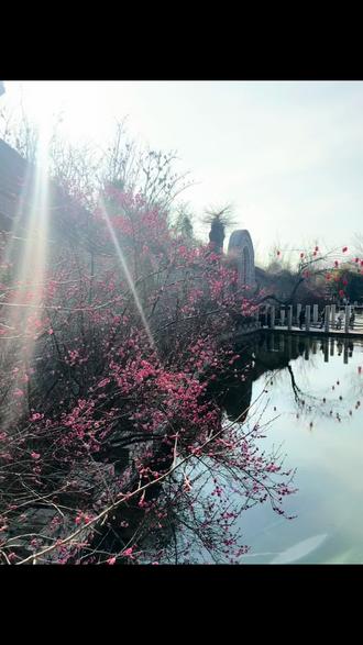 都说改动大我来瞅瞅。确实,就是人有些多