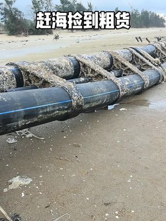 粗货#赶海 #新农人计划